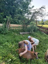 Lernort Bauernhof - Das Hoar Schoof mit Jennifer Elfner