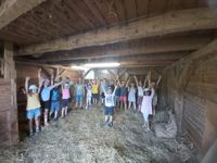 Lernort Bauernhof - Das Hoar Schoof mit Jennifer Elfner