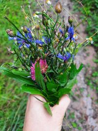 Natursch&auml;tze entdecken