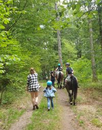 Pferde-Wanderung mit Wellenreiter Lampenhain